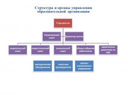 Структура управления школой